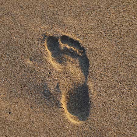 Footprint